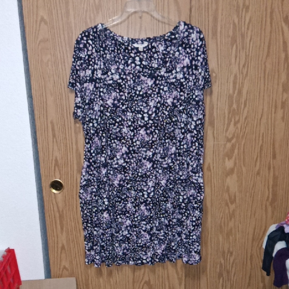 🌻Terra & Sky Dress Sz 2x